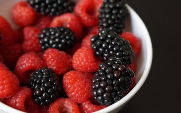 Confira 11 frutas campeãs em proteínas